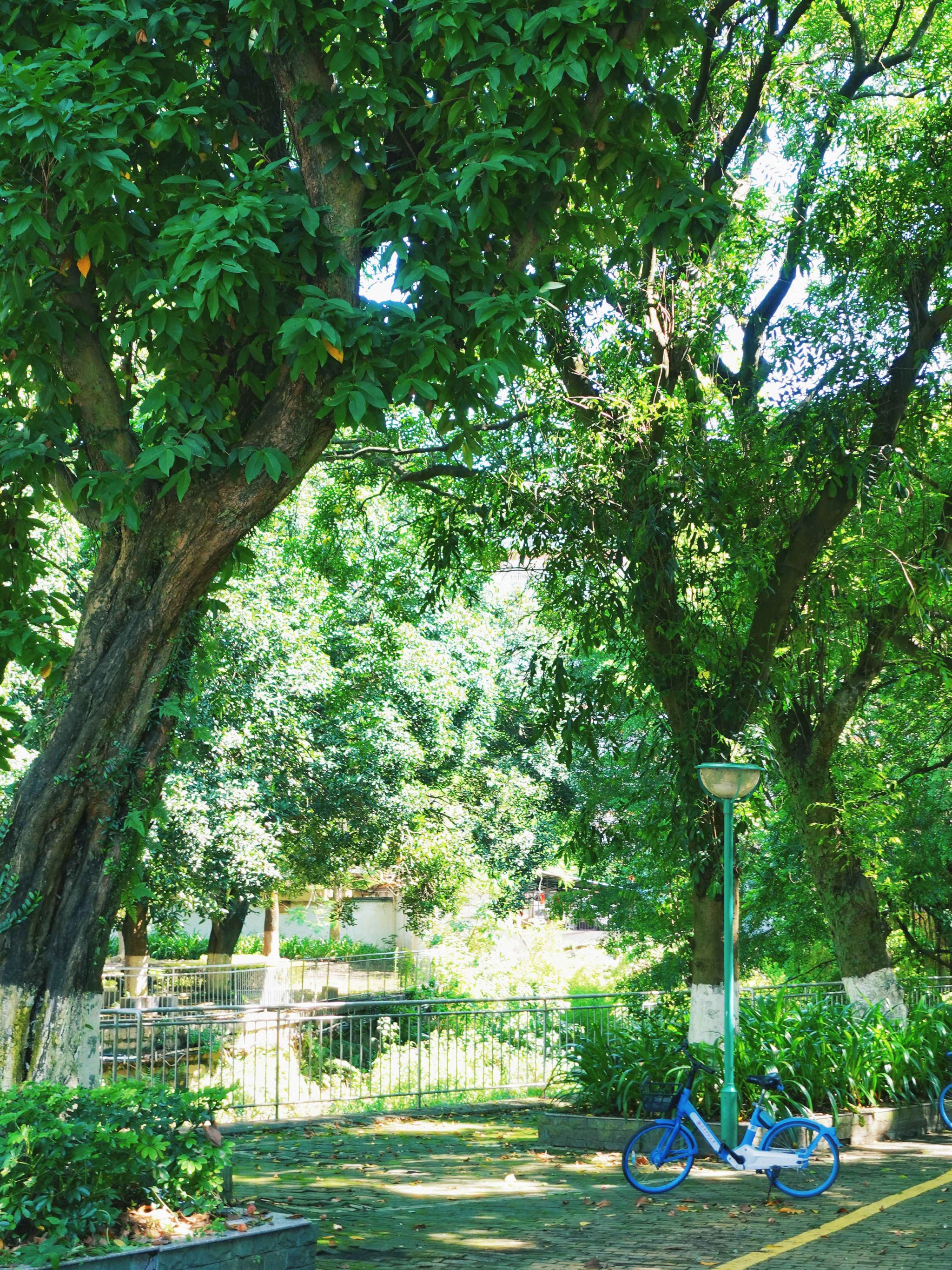 tyc41183太阳成集团