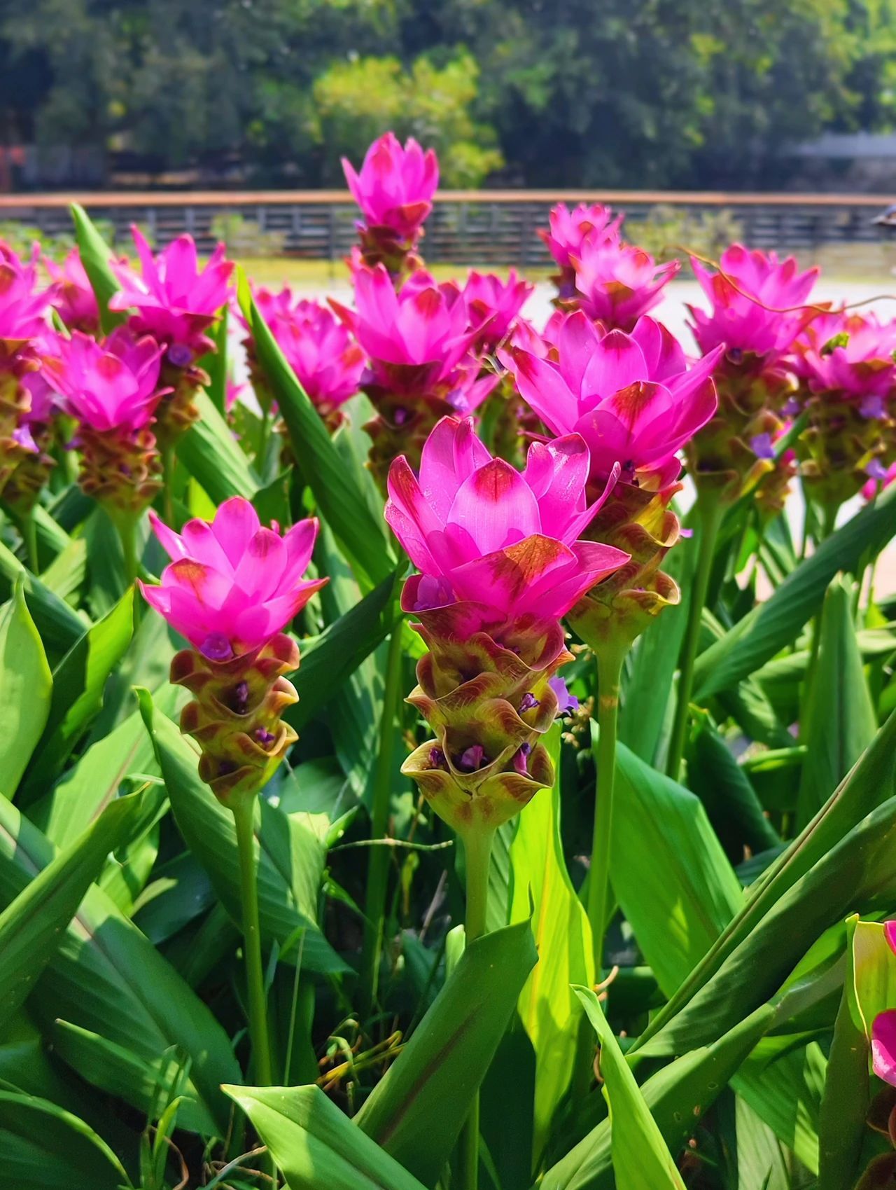 tyc41183太阳成集团