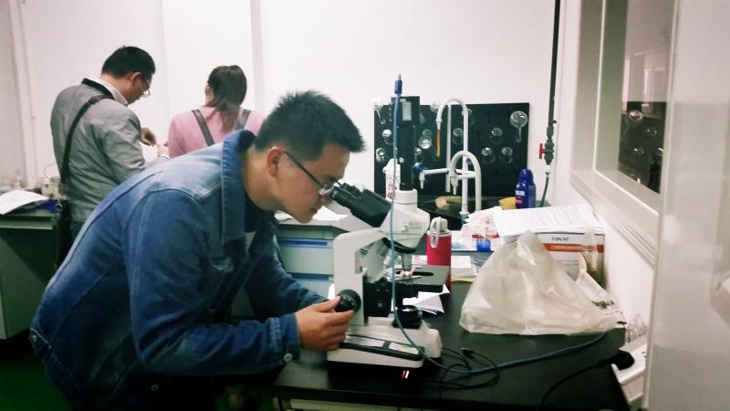 POMELO_20160304104726_save.jpg POMELO_20160304104726_save.jpg