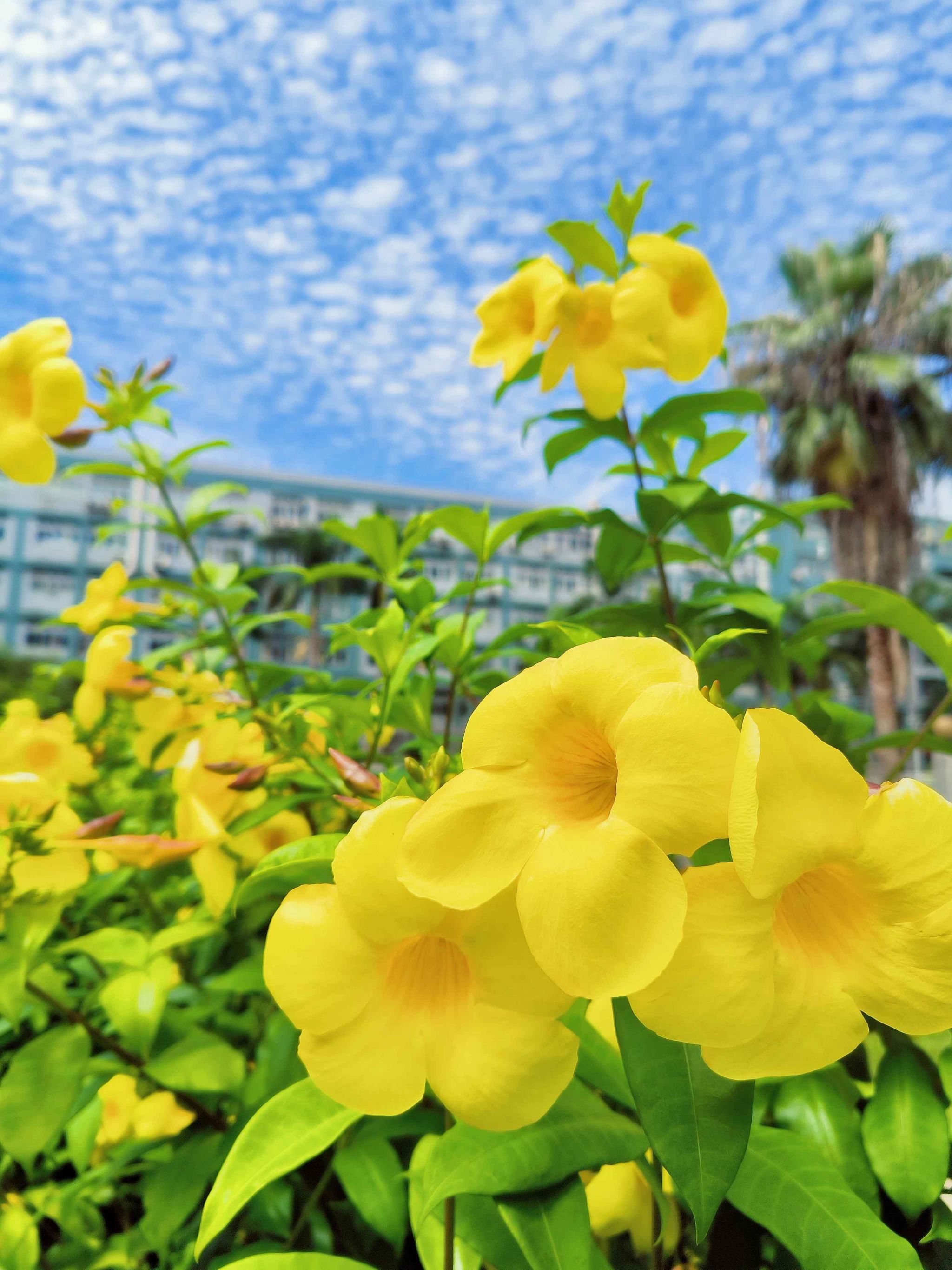 tyc41183太阳成集团