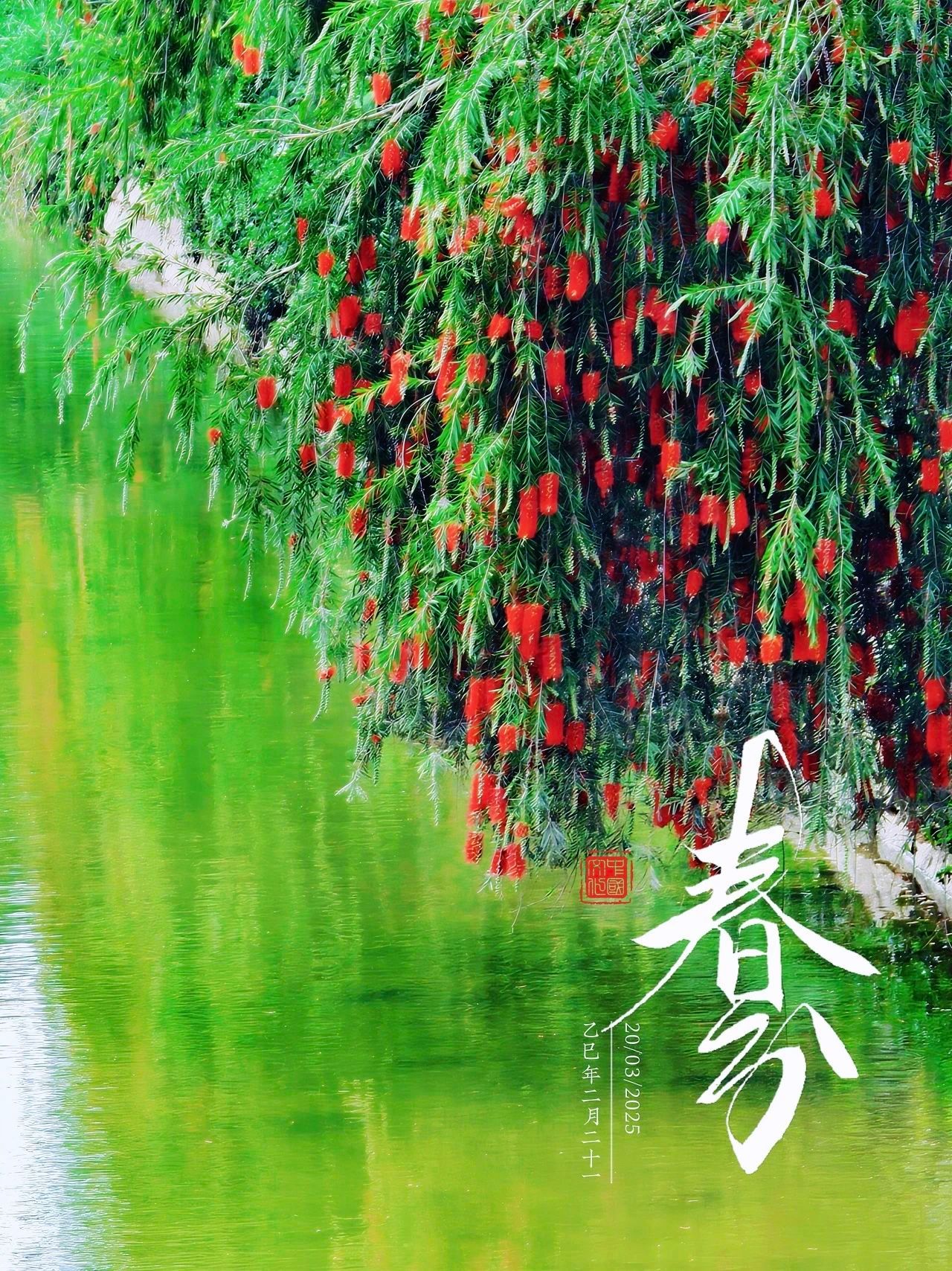 tyc41183太阳成集团