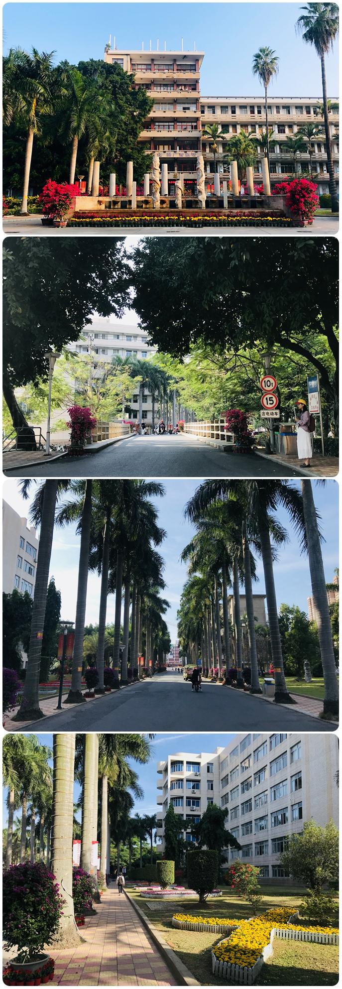 tyc41183太阳成集团