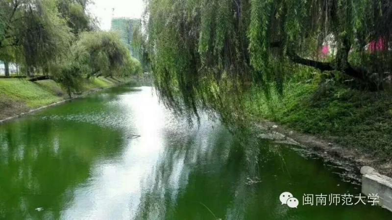 全国绿化模范城市核查专家组莅临我校实地检查3.jpg 全国绿化模范城市核查专家组莅临我校实地检查3.jpg