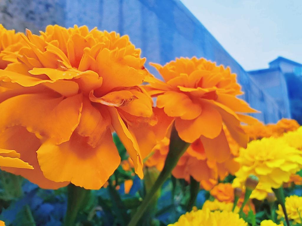 tyc41183太阳成集团